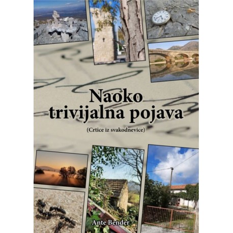 NAOKO TRIVIJALNA POJAVA